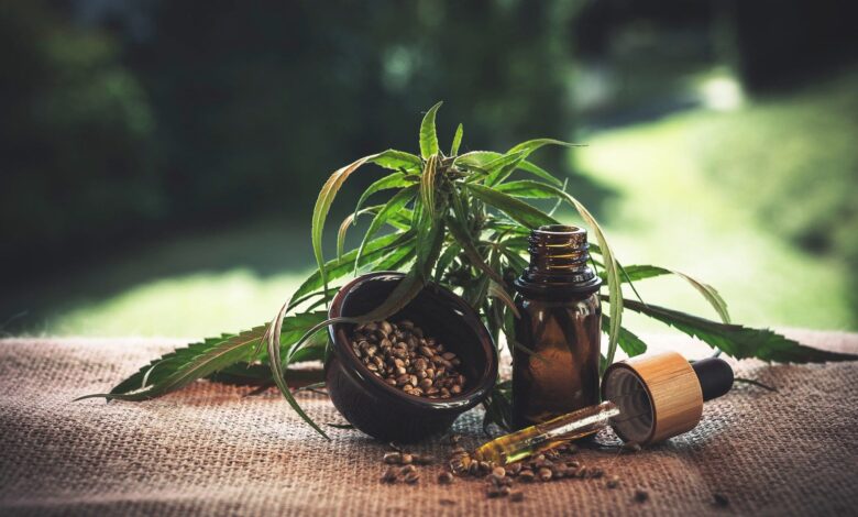 Das Experiment mit CBD-Produkten 1