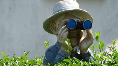 Die richtige Vorbereitung für eine Hecke 9 Die richtige Vorbereitung für eine Hecke 6