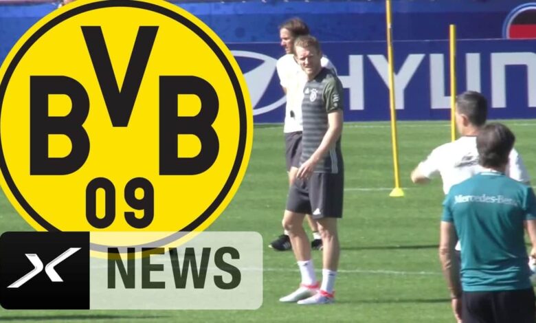 So wird der BVB 2016/2017 Deutscher Meister 1