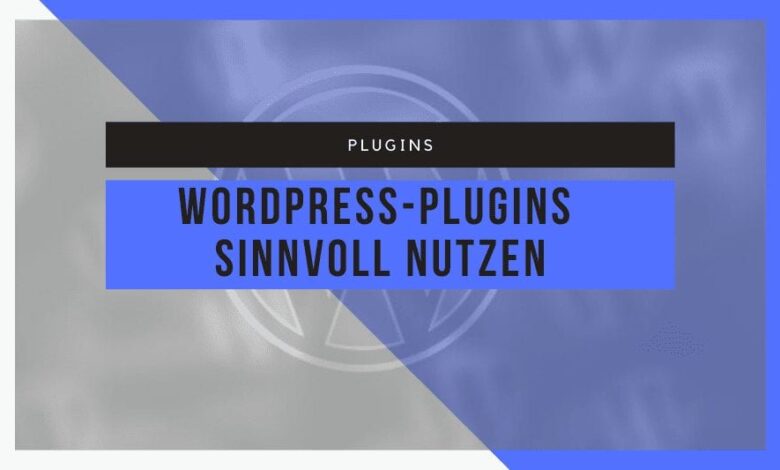 Installation und Nutzung von WordPress-Plugins 1