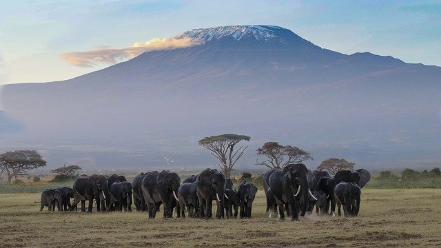 Das sind die Top-Sehenswürdigkeiten in Ost-Afrika 1