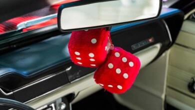 10 hässliche und peinliche Auto-Gadgets 5