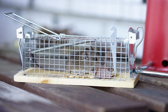 Die Mittel der modernen Schädlingsbekämpfung 1