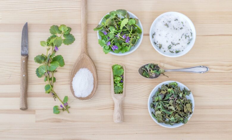 Gesund abnehmen mit Bitterstoffen 1