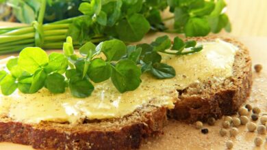 Warum sind Bitterstoffe für uns so gesund? 5 Warum sind Bitterstoffe für uns so gesund? 5