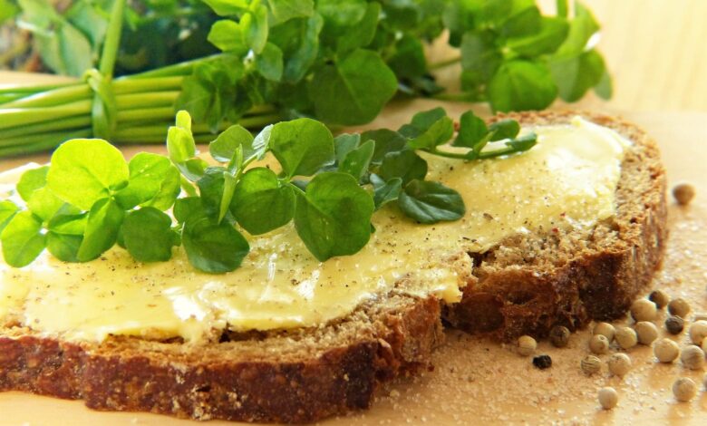 Warum sind Bitterstoffe für uns so gesund? 1