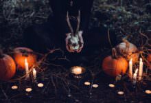 13 Halloween Fakten 14 13 Halloween Fakten 13