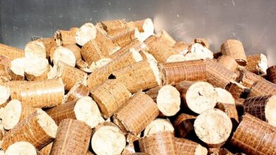 Holzmarkt und Holzpreise - ein Überblick 13 Holzmarkt und Holzpreise - ein Überblick 10