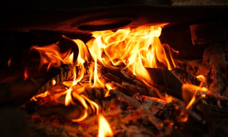 Holzbriketts oder Brennholz? 1
