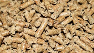 Kosten für nachhaltiges Heizen 12 Kosten für nachhaltiges Heizen 12
