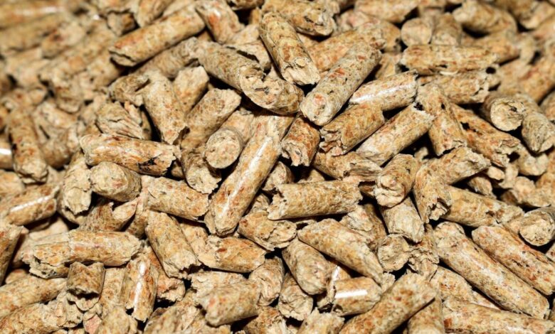 Kosten für nachhaltiges Heizen 1