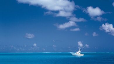 Im Urlaub eine Yacht chartern 3