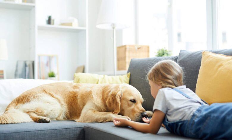 Zusammenleben mit Haustieren 1