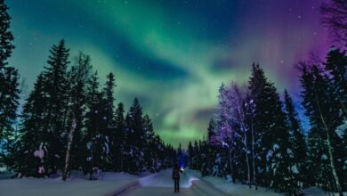 Das Wunder der Polarlichter 15 Das Wunder der Polarlichter 12