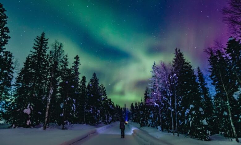 Das Wunder der Polarlichter 1