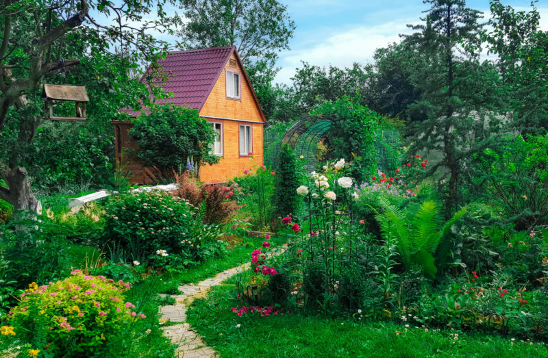 wild bunt garten
