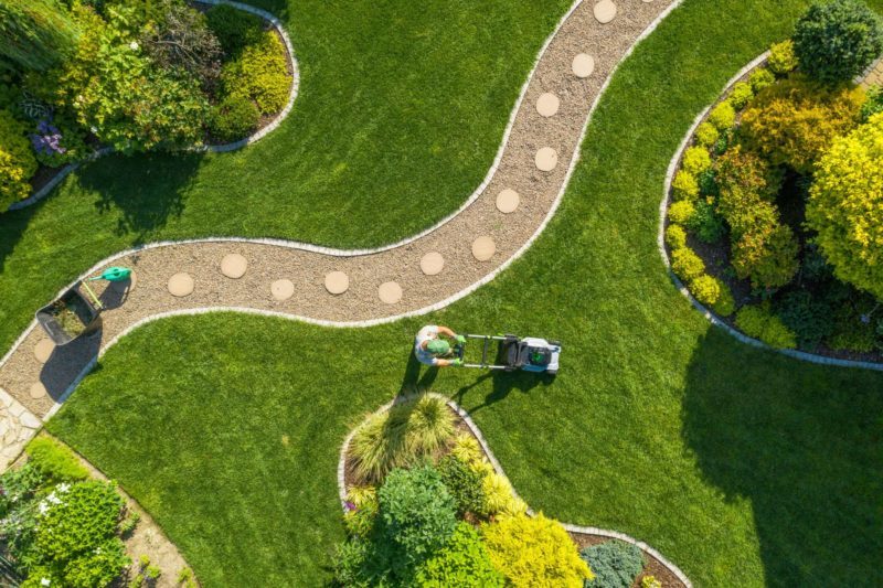 14 Pflanzen, die Sie bei der Gartenplanung berücksichtigen sollten 3 garten Pflanzen weg