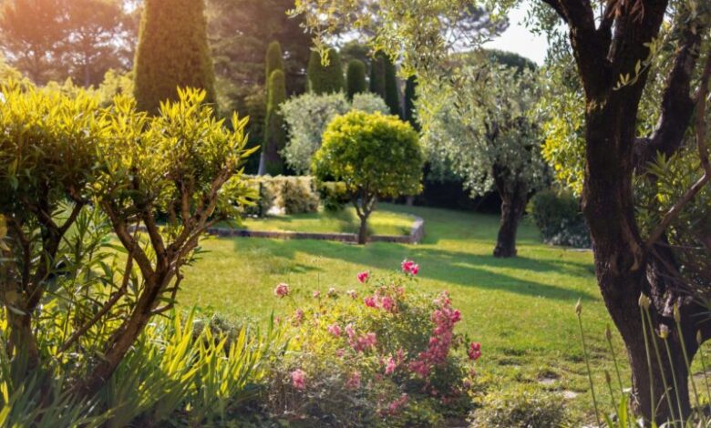 14 Pflanzen, die Sie bei der Gartenplanung berücksichtigen sollten 1