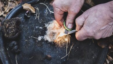 7 vs. Wild | Fritz Meinecke setzt auf YouTube neue Maßstäbe 4 7 vs. Wild | Fritz Meinecke setzt auf YouTube neue Maßstäbe 4