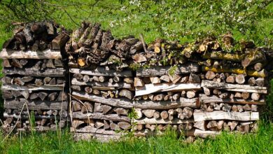 Darf ich meinen Kamin zu Hause mit Holz aus dem Wald befeuern? 4 Darf ich meinen Kamin zu Hause mit Holz aus dem Wald befeuern? 4