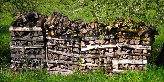 Darf ich meinen Kamin zu Hause mit Holz aus dem Wald befeuern? 1