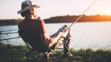 Faszination "Knossi" - Wieso ist er so erfolgreich? 8 Faszination "Knossi" - Wieso ist er so erfolgreich? 8