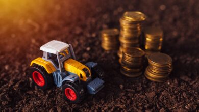 Grundsteuer 2022 – Die Reform in NRW 7 Grundsteuer 2022 – Die Reform in NRW 5