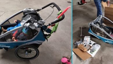 Fahrradtour mit 2 Kindern im Qeridoo Kidgoo2 Sport 7 Fahrradtour mit 2 Kindern im Qeridoo Kidgoo2 Sport 7