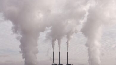 Die CO₂-Emissionen und andere Treibhausgase heute und morgen 2
