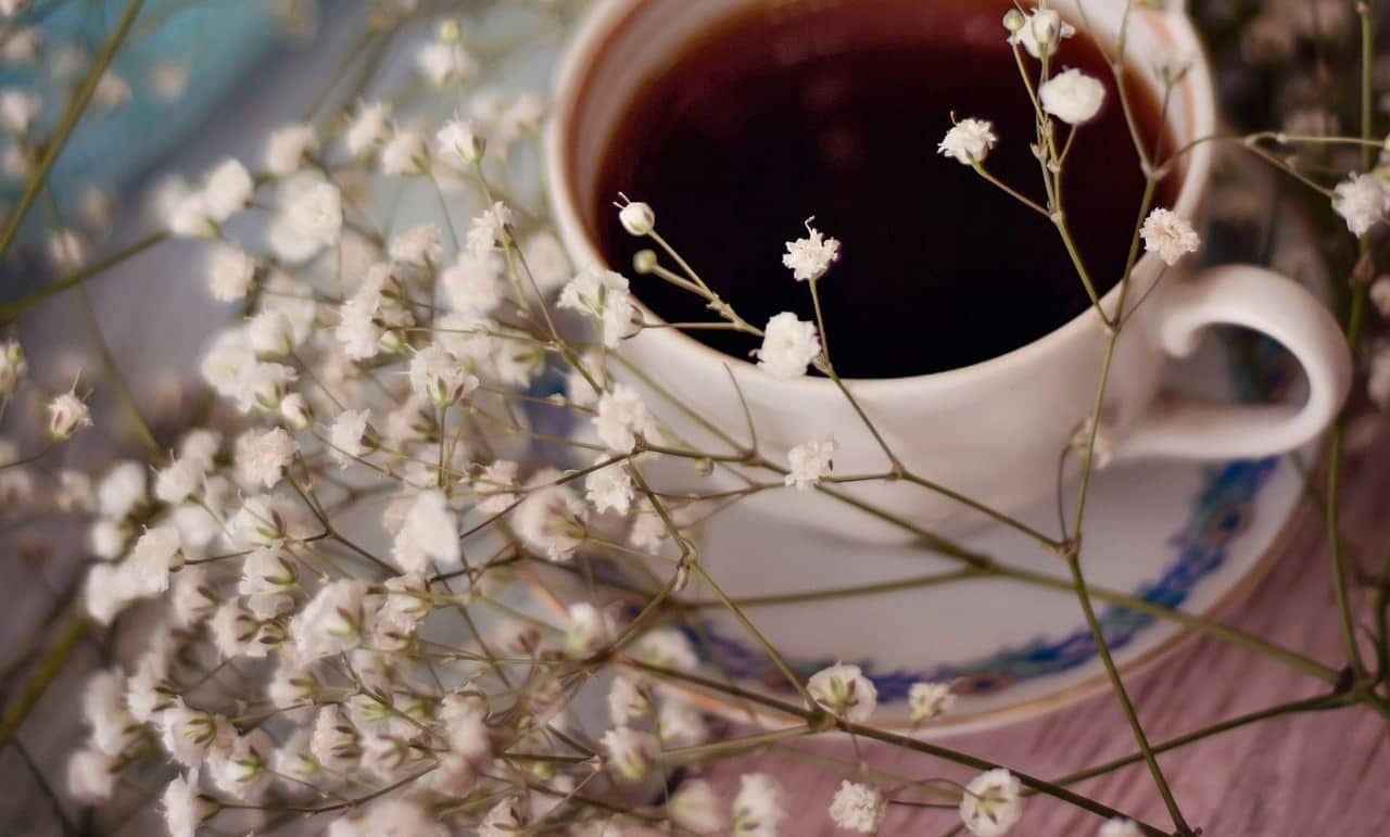 Deko Ideen im Herbst: Die 6 Must-Haves für eine gemütliche Atmosphäre 2 Kaffeetasse mit weißem Schleierkraut