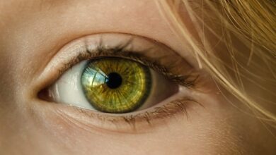 Welche Macht hat unsere Optik? 7 Welche Macht hat unsere Optik? 7
