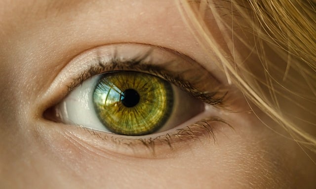 Welche Macht hat unsere Optik? 1