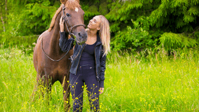 Entgiftung beim Pferd: Darum entgifte ich mein Pferd 2 Entgiftung beim Pferd: Darum entgifte ich mein Pferd 2