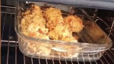 HelloFresh | Erfahrungen & Kritik 1