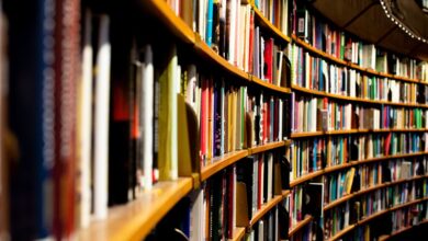 KI-Buch: So erkennst du es! 2 KI-Buch erkennen