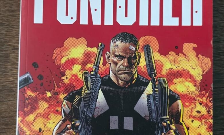 Marvel Knights The Punisher Comic
